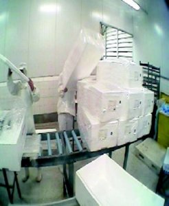 industria salmon (52)  ALIMENTOS MERCADO